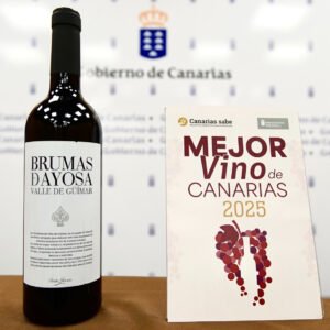 BRUMAS DE AYOSA - TINTO