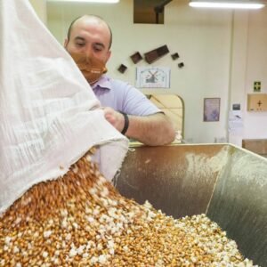 GOFIO TRIGO EL SAUZAL 1KG - PRODUCTO TÍPICO CANARIO